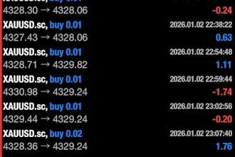 build a custom algorithmic trading bot for metatrader