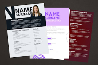 create a professional curriculum vitae