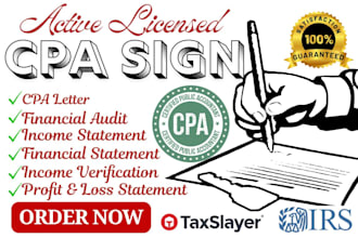 be your CPA accountant for financial statement, audit, pnl, pof, balance sheet