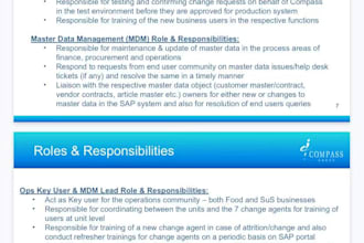 plan your master data standardization and data cleanup roadmap