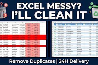 do excel data cleaning formatting and remove duplicates
