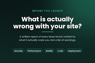 audit your website and give you a written report of every issue