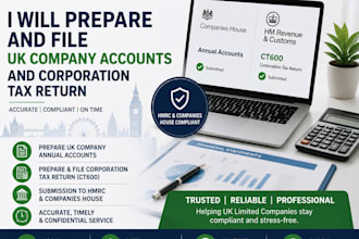 prepare and file UK annual accounts and tax return