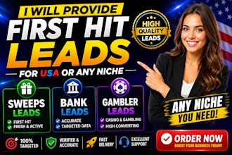 provide first hit sweeps leads, bank leads, gambler leads, for USA, or any niche