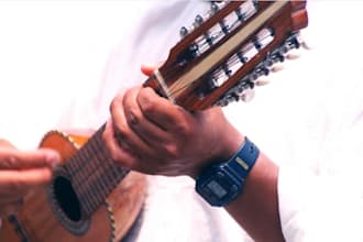 record charango, guitar, banjo, mandolin, oud, violin, fiddle, lute, harp ,dobro