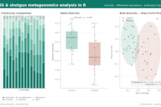 do 16s and shotgun metagenomics analysis in r