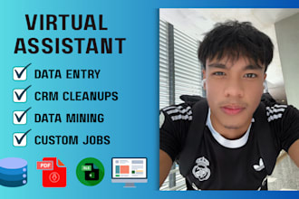 be your virtual assistant for data entry, CRM data cleanup, excel work