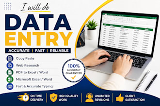 do accurate data entry, copy paste, web research and PDF conversion