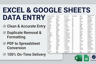 do accurate excel data entry, cleanup and google sheet formatting