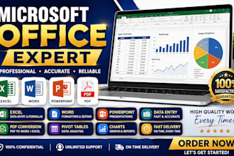 do microsoft excel, word, powerpoint, data entry, and PDF conversion