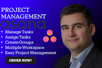 setup asana workflow, asana consultant asana automations, project managemen