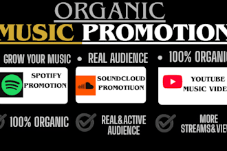 do music promotion youtube music apples music promotion