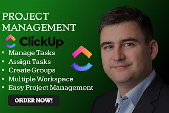 setup clickup workflow automation as a clickup consultant and clickup project