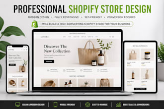 build a professional shopify store