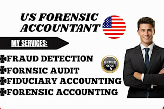 provide CPA forensic accounting for litigation and financial evidence