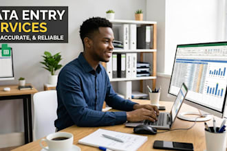 accurate data entry and excel work