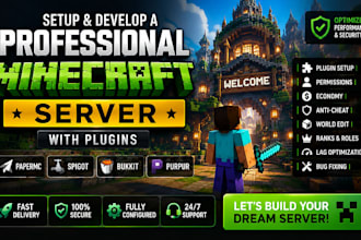 setup and develop a professional minecraft server with plugins