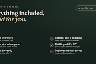 build a custom ecommerce website in one day