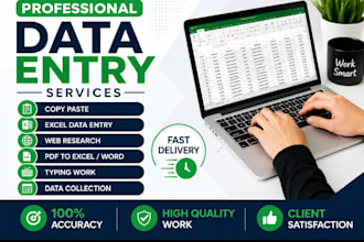 do accurate data entry copy paste and exel tasks