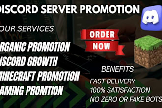 promote discord server, minecraft promotion, fivem game, rust, dayz ads