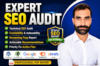 do technical SEO audit, screaming frog crawl and website audit report