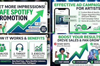 create effective campaign ads for spotify music promotion