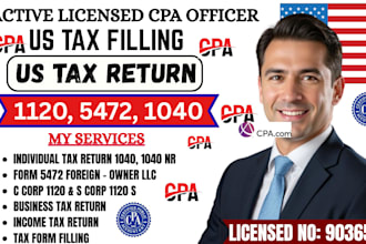 do US tax filling US tax returns business tax llc 1120 5472 1040 cpa audits