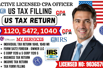 do US tax filling US tax returns business tax llc 1120, 5472, 1040, cpa audits
