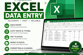 do microsoft excel data entry, copy paste, typing and formatting