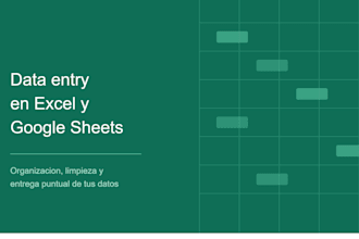 do excel data entry and clean up your spreadsheets