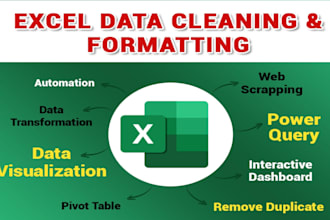 excel data cleaning, remove duplicates and fix errors professionally