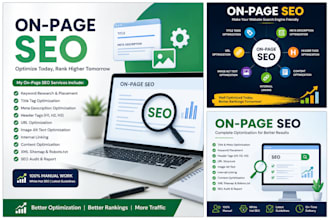 do professional on page SEO for wordpress websites