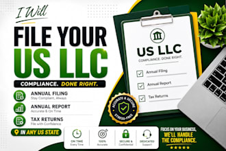 file your US llc annual filling, annual report in any US state and tax returns