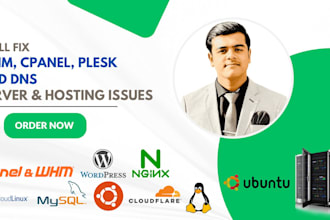 fix cpanel whm plesk vps server dns hosting and domain issues