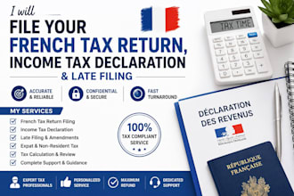 file your french tax return, income tax declaration and late filing