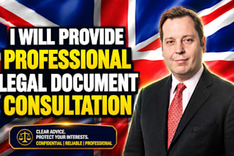 provide professional legal document consultation