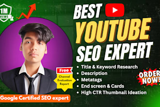 do best organic youtube video seo to get 1 million views