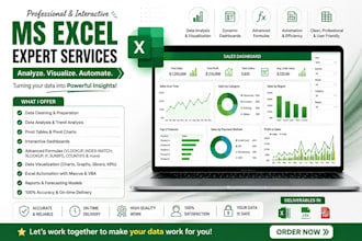do professional data entry, ms excel