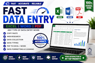 do fast excel data entry copy paste and web reasearch