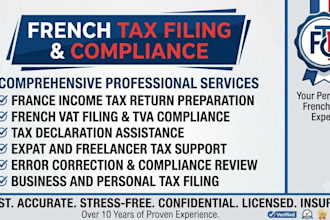 handle your france tax filing vat return  tax consultation