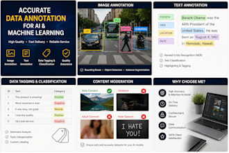 do accurate ai data annotation, image labeling, text annotation, and data