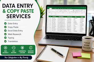 do accurate data entry, copy paste, web research and PDF conversion