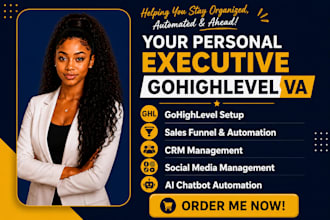 be personal executive admin gohighlevel virtual assistant social media ghl VA ai