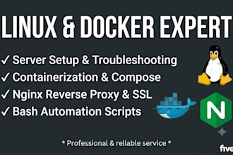 do linux system administration, docker containerization and nginx setup