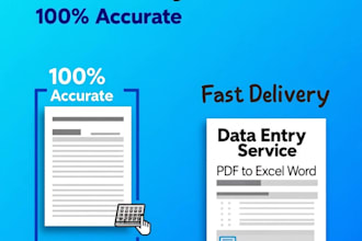 do professional google docs and data entry work