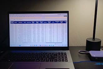 financial data entry, analysis and excel reports for startups