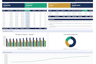 build a financial dashboard and p and l in excel