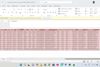 do professional data entry