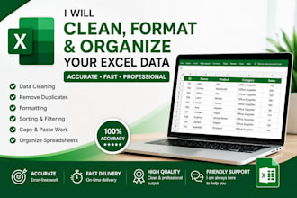 do excel data cleaning, formatting and spreadsheet cleanup