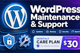 provide monthly wordpress maintenance and support